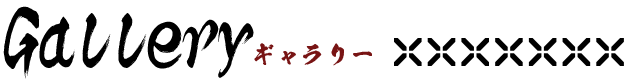 ギャラリー
